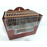 CONJUNTO SILVESTRISMO